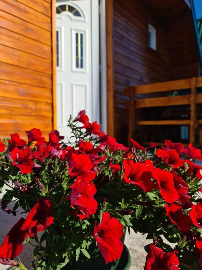 Cottage Danilo Жабляк Экстерьер фото